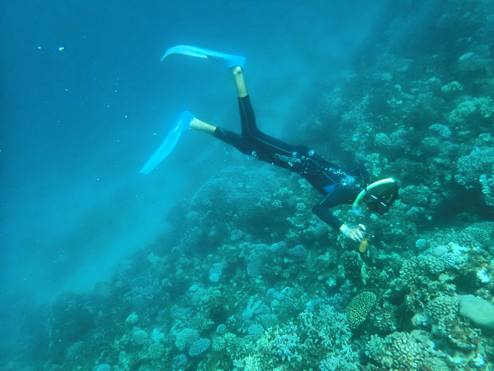 Snurkowanie w Dahab, Blue Hole, Egipt. Fot Mieczysław Pawlowicz