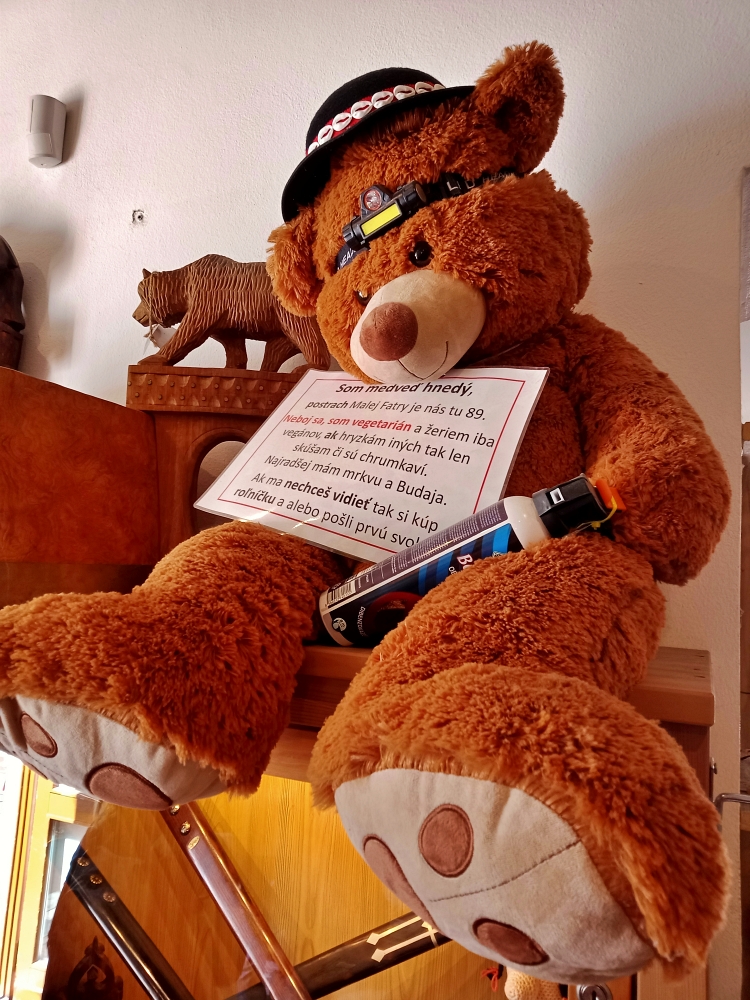 W Małej Fatrze jest około 100 niedzwiedzi. Terchova. Słowacja. fot.Mieczysław Pawłowicz