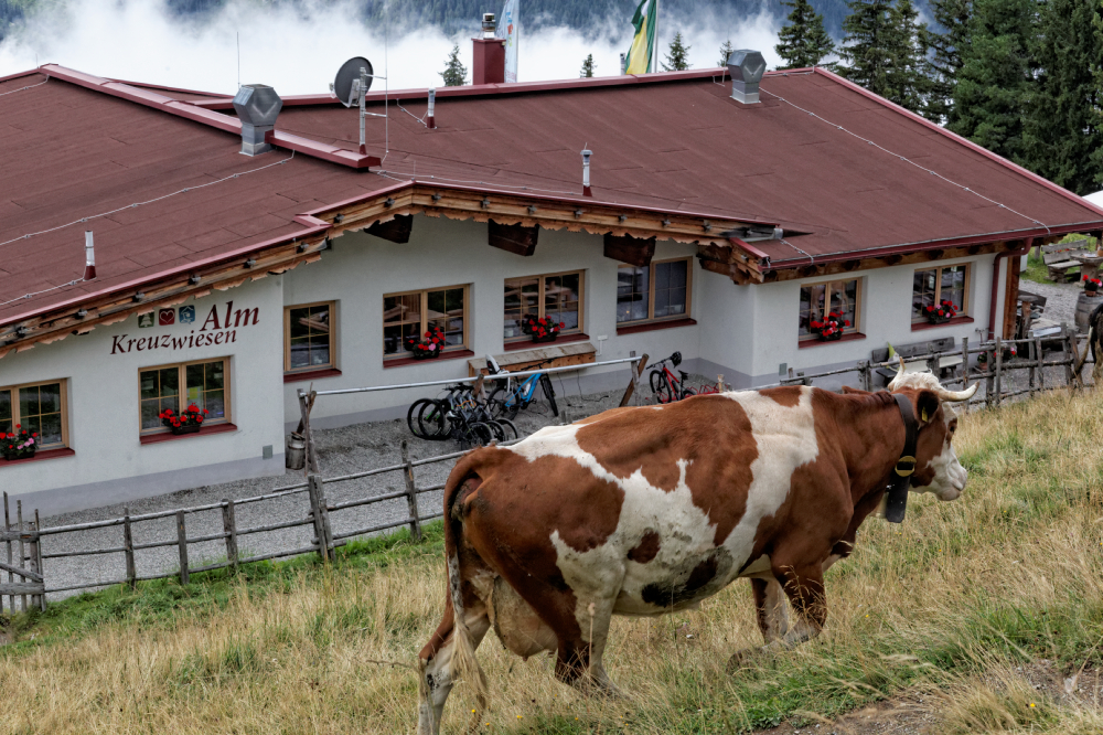 Szlak kulinarny, Kreuzwiesen Alm, Zillertal, Austria