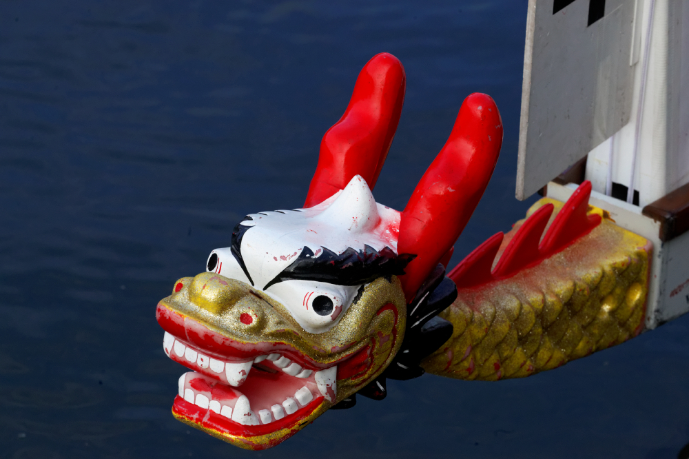 Wyścigi smoczych łodzi z okazji Maritime Week w Bremie, Niemcy cel podróży. Dragon Boat Races Bremen