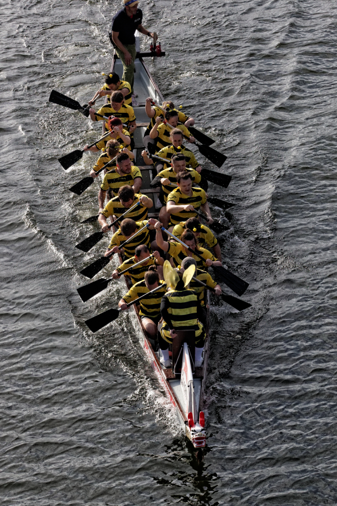 Wyścigi smoczych łodzi z okazji Maritime Week w Bremie, Niemcy cel podróży. Dragon Boat Races Bremen