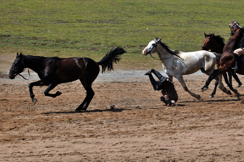 World Nomad Games 2026, Światowe Igrzyska Koczowników. Kirgistan